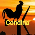 Condina Virtual