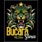 Bucara Stéreo